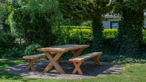 Zonnige tuin